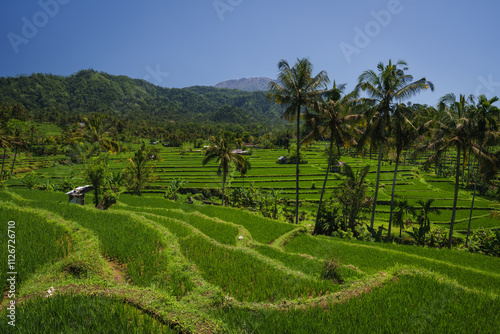 Reisterrassen vor dem Mount Agung