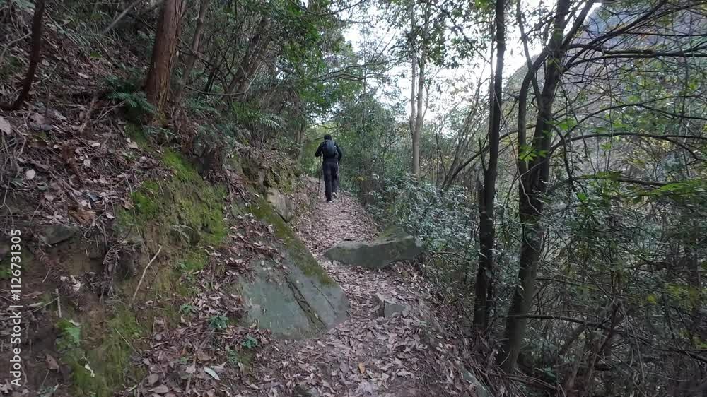 POV hike in mountain in Zhejiang, China, walking up along path through forest, rear view of young man walking with alpenstocks on dirt path, following, climbing mountain, 4k real time footage b roll. POV hike in mountain in Zhejiang, China, walking up along path through forest, rear view of young man walking with alpenstocks on dirt path, following, climbing mountain, 4k real time footage b roll.