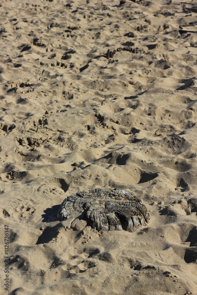 Traces of a long gone wooden pier standing in the sand. Traces of a long gone wooden pier standing in the sand.