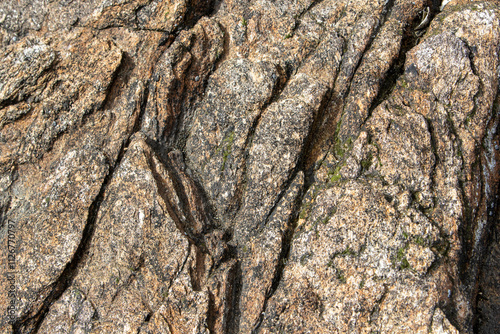 Vue rapprochée sélective de la texture d'une roche mise à nue par marée basse. photo