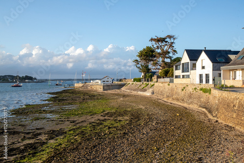 Paysage côtier à marée basse de la pointe de la Lenn sur la presqu'île de Pénerf, commune française de Damgan dans le Morbihan, au sud de la Bretagne, France, Europe. photo