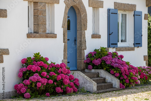 Entrée d'une maison bretonne dans le Morbihan, au sud de la Bretagne. Avec un escalier en pierre, une porte et des volets en bois bleu, deux grands massifs d'hortensias en fleurs.