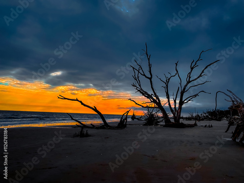 Botnay Bay - A beach full of life and death photo