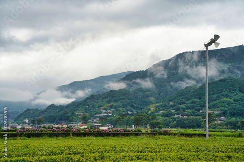 日本の農村風景：あじさいと静かな山岳地帯