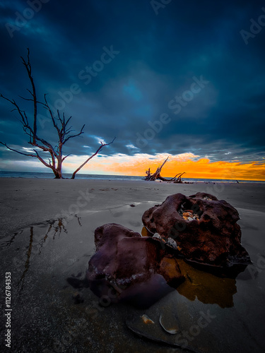 Botnay Bay - A beach full of life and death photo