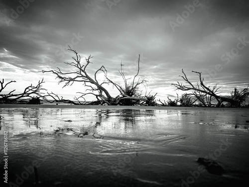 Botnay Bay - A beach full of life and death photo