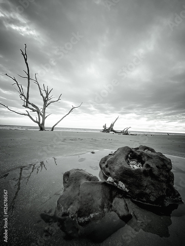 Botnay Bay - A beach full of life and death photo