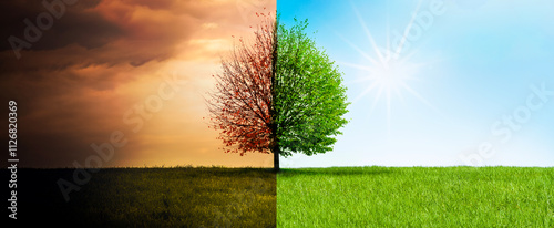 Klimaveränderung von Trockenheit zu Grünem Wachstum