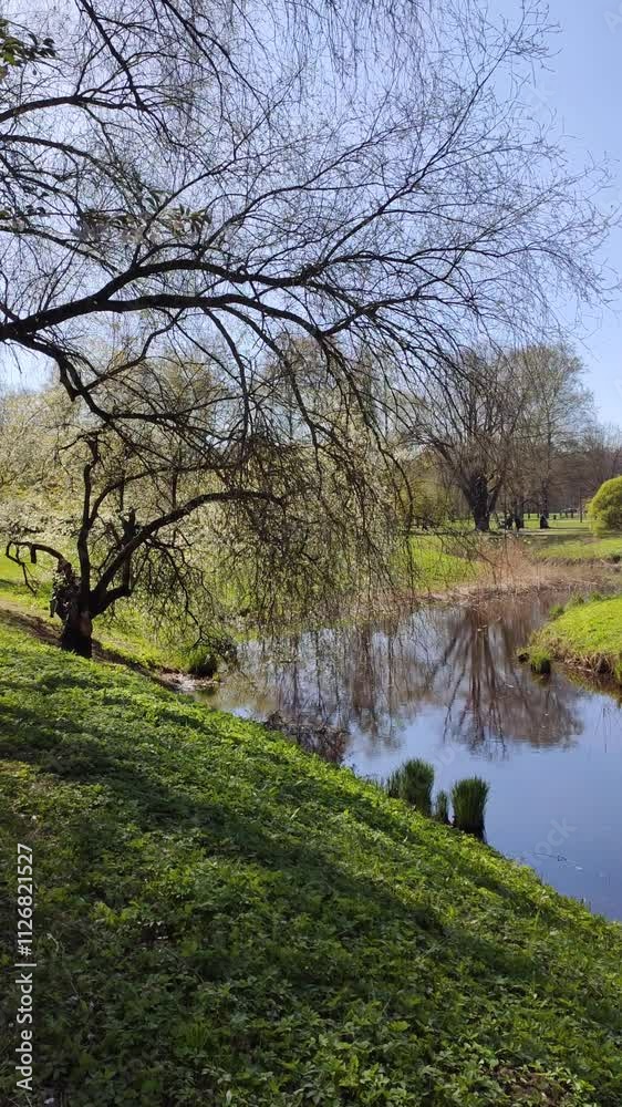 Tranquil spring landscape with a calm pond and green trees. Tranquil spring landscape with a calm pond and green trees.