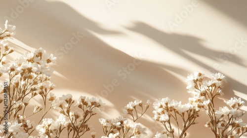 Spring Horizontal chamomille Floral banner. Daisy frame template. Beautiful spring or summer nature season background. Copy space for text, selective focus