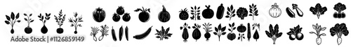 A modern linocut illustration featuring various vegetables with a grunge texture. A monochrome linear woodcut design. Isolated graphic elements of harvest and autumn. A contemporary set.