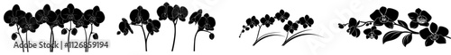 A modern illustration featuring black silhouettes of orchid flowers.