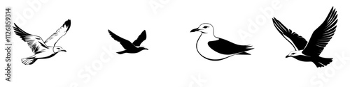 Silhouette of a standing seagull. A contemporary monochrome illustration on a white background, perfect as a design element. Black bird shape. European Herring Gull.