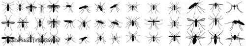 Mosquitoes are flying insects that transmit viruses, acting as bloodsuckers and pests, with modern illustrations depicting them.