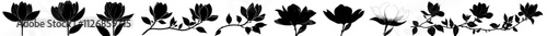 A collection of black magnolia flower silhouettes, isolated on a white background, in a modern illustration.