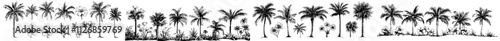 Hand-drawn black and white tropical trees. A modern illustration set featuring exotic plants. Foliage design. Botanical elements isolated on a white background.