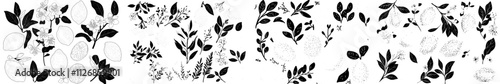 A hand-drawn etching of a lemon with leaves and a flower, depicted in a sketch style. The illustration features a whole fresh citrus fruit tree branch in modern black and white, isolated on a white
