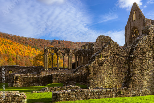 Colorful Fall foliage with a 12th century ruined abbey in the foreground (Tintern, Wales) photo