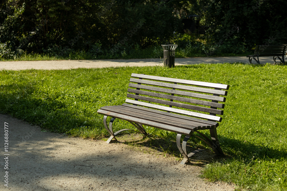 A modern wooden bench with trash bin standing in the park. Comfortable bench in recreation area. City improvement, urban planning, public spaces. A modern wooden bench with trash bin standing in the park. Comfortable bench in recreation area. City improvement, urban planning, public spaces.