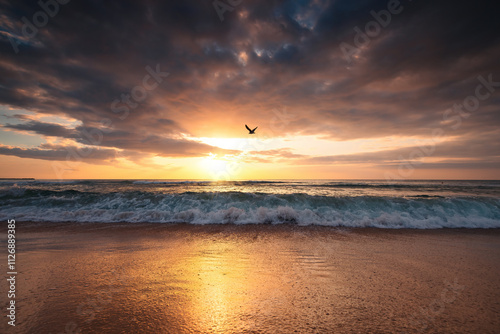 Fototapeta Naklejka Na Ścianę i Meble -  Tropical scenic sunrise over ocean beach shore
