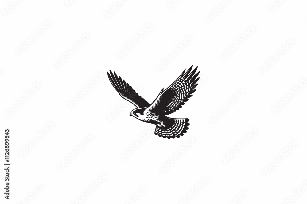 Obraz premium A Falcon vector silhouette image made by adobe illustrator..eps
