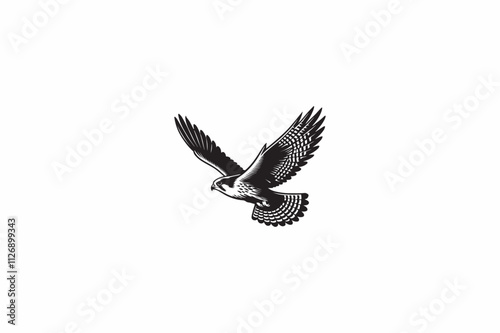 A Falcon vector silhouette image made by adobe illustrator..eps