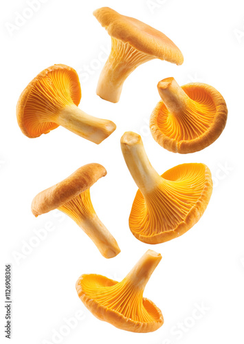 Dynamic and appetizing visual of vibrant chanterelle mushrooms cascading against a transparent backdrop