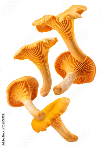 Five fresh chanterelle mushrooms falling against a transparent background, creating a dynamic and appetizing image