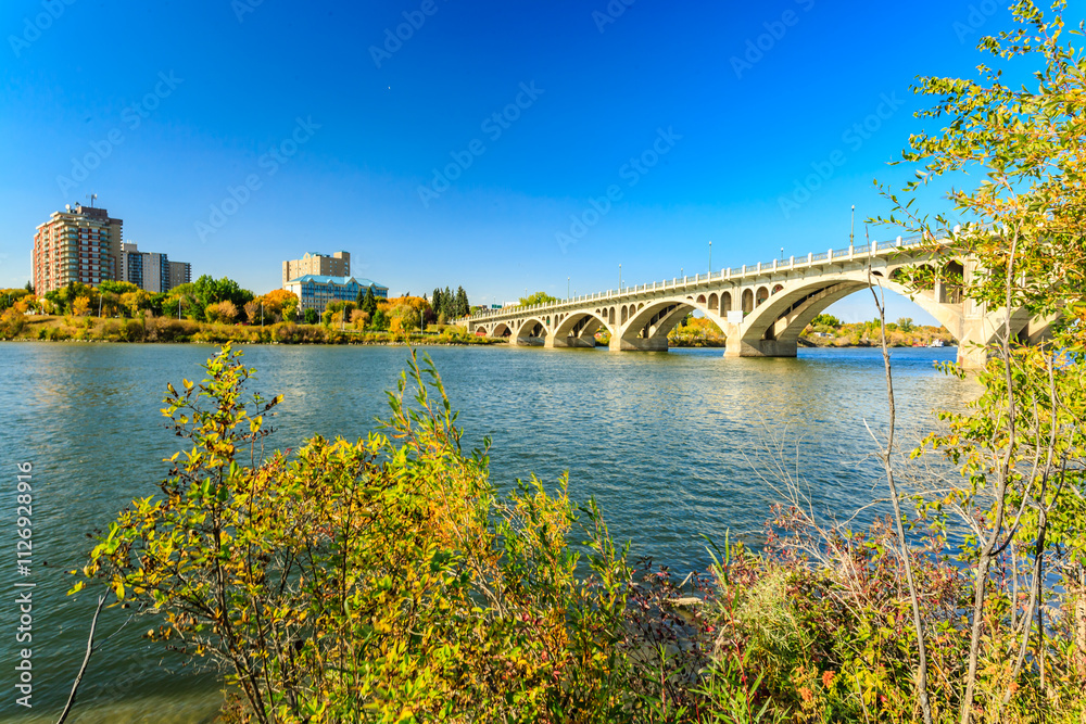 Obraz premium A bridge spans a river with a green and brown forest on either side