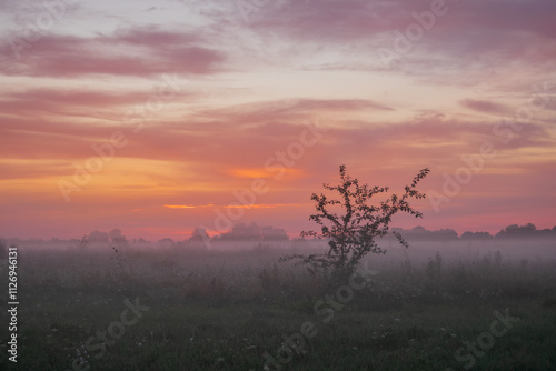 sunrise in the fog