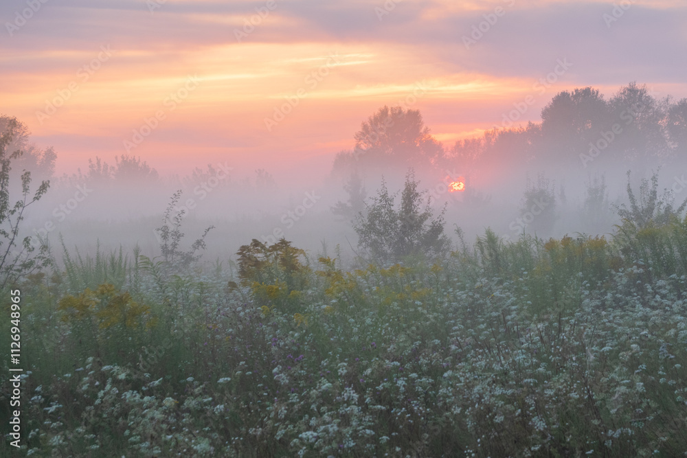 Obraz premium misty sunrise over the river
