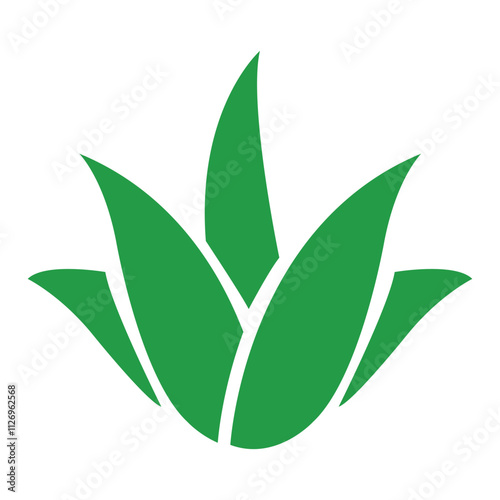 Aloe Vera icon vector, green color aloe vera icon,  aloe vera green plant isolated on white background. 