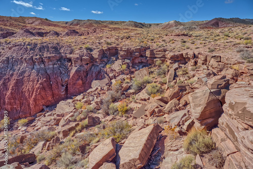 Dry waterfall and Dead Wash, Petrified Forest National Park, Arizona, USA photo