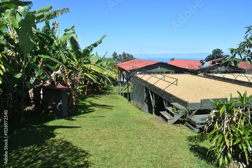 A traditional Kona Coffee farm on the Big Island of Hawaii