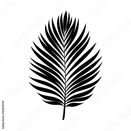  Boho Palm Leaf Silhouette Vector