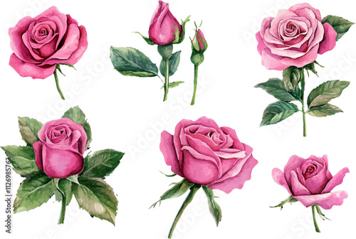 Watercolor pink rose flower bouquet for valentines day