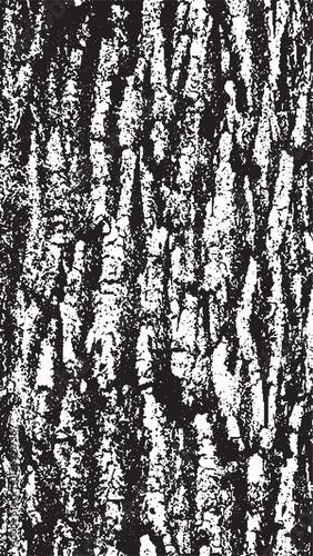 Black tree bark texture. Bark on a white background. Old tree background vector, wooden, grunge texture.