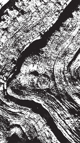 Black tree bark texture. Bark on a white background. Old tree background vector, wooden, grunge texture.