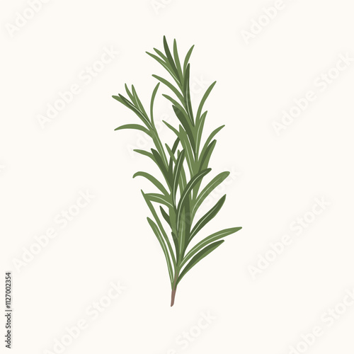 Flat vector rosemary branch illustration