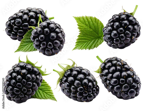 A set of blackberry, isolated difference type