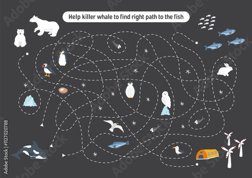Labyrinth, Maze game for children. Logical puzzle for kids. Quest to find the right path for a Killer whale to the fish. Vector illustration.