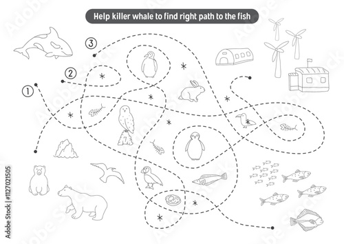 Labyrinth, Maze game for children. Logical puzzle for kids. Quest to find the right path for a Killer whale to the fish. Vector illustration.