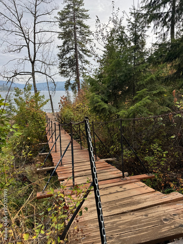wooden bridge in the forest