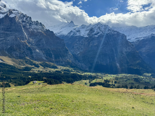 alpine meadow in the mountains