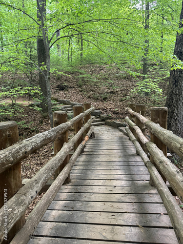 wooden bridge in the forest