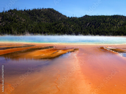yellowstone national park