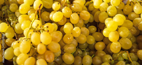 Obraz na płótnie bunches of ripe golden grapes w salonie