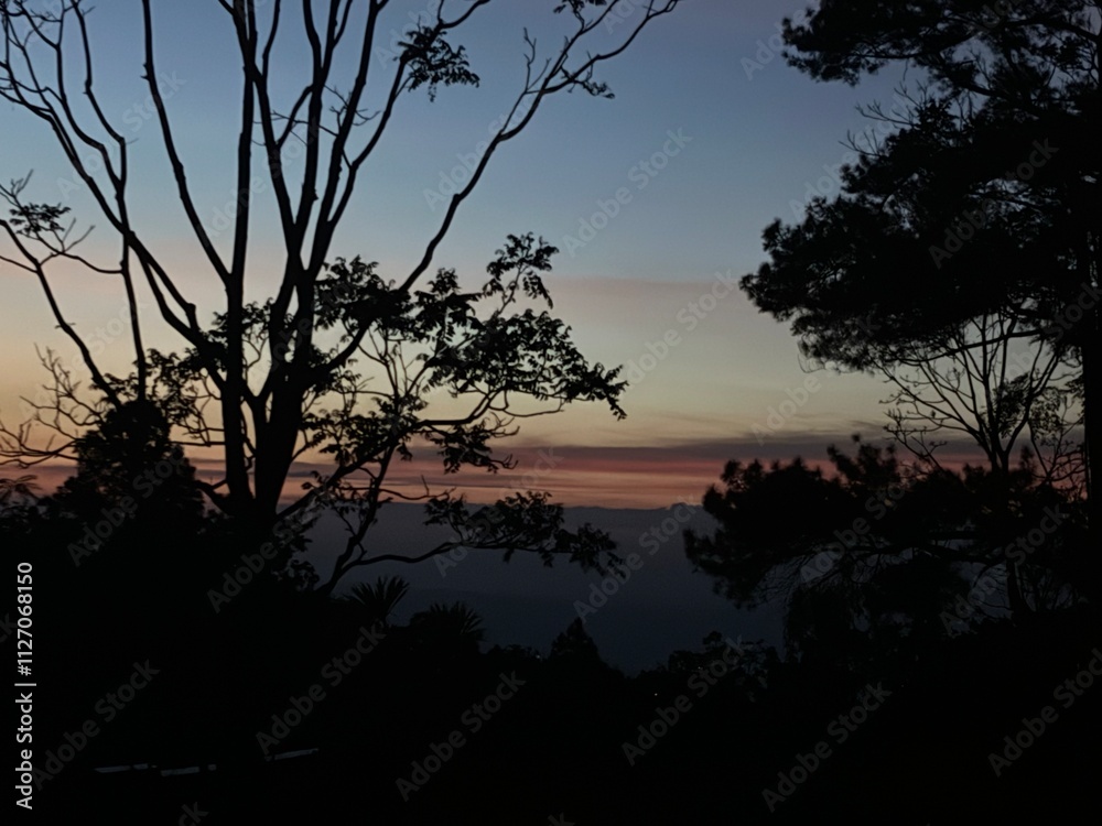 Fototapeta premium View