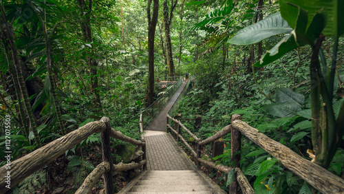 Fototapeta Naklejka Na Ścianę i Meble -  The walking path to La Fortuna waterfall in a biological reserve part of the Arenal Volcano National Park - Costa Rica