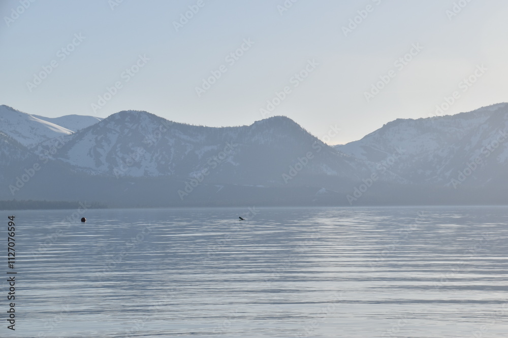 The turquoise azure blue Lake Tahoe and the surrounding mountains and forest The turquoise azure blue Lake Tahoe and the surrounding mountains and forest